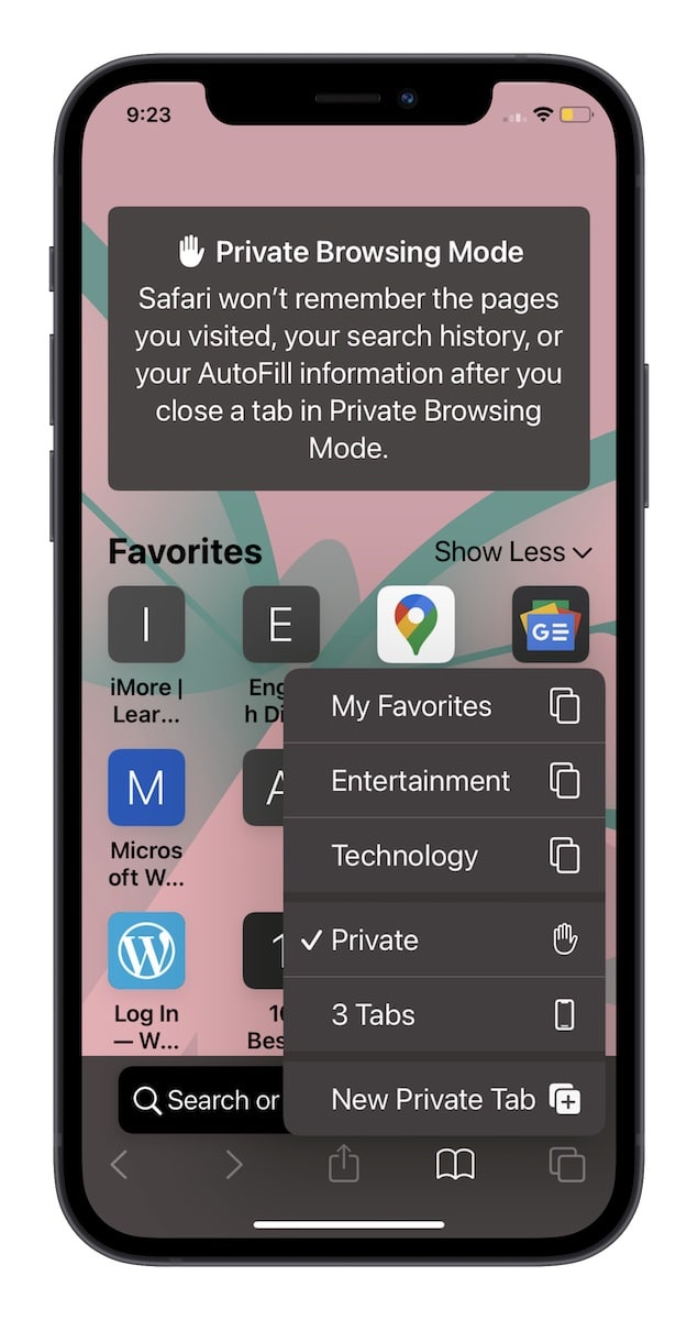فعالسازی حالت Private Browsing در سافاری - ۳۵ ترفند مخفی در آیفون