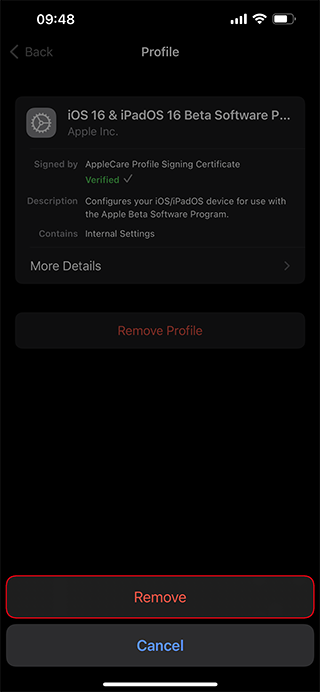 صفحه تأیید حذف پروفایل بتای iOS