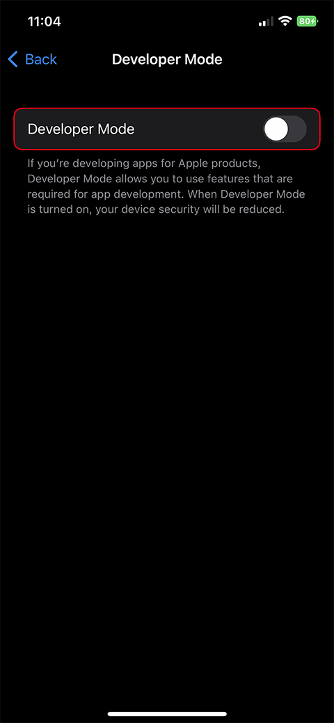نمایی از قسمت Developer Mode در iOS 16