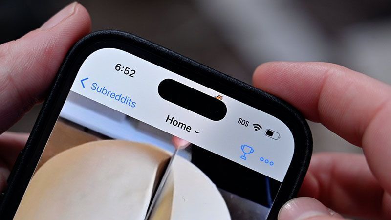 اضافه شدن گربه به داینامیک آیلند در اپلیکیشن Apollo