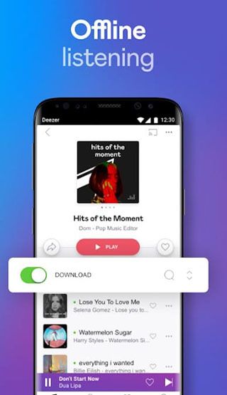 تصویری از قابلیت Download در دیزر