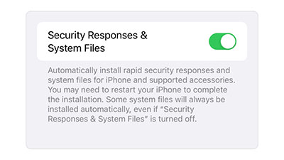 سوییچ مربوط به فعال کردن Rapid Security Response