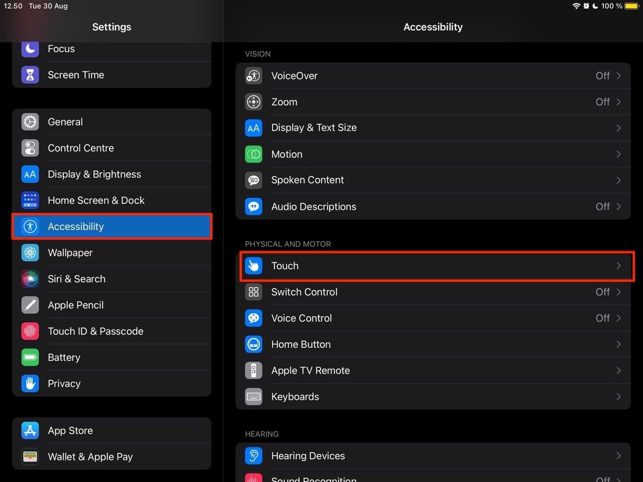 تنظیمات آیپد بخش Accessibility